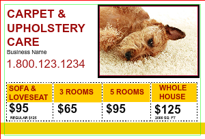 Carpet & Upholstery Flyer Marketing