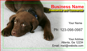 Carpet Cleaning Business Card Template