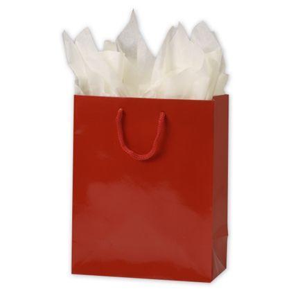 Glossy Paper Bags With Handles