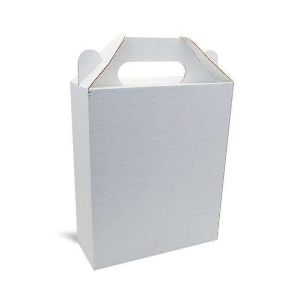 Custom Printed T-lock Carry Case Box