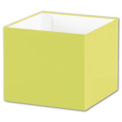 Deluxe Gift Box Bases, Pistachio, Small