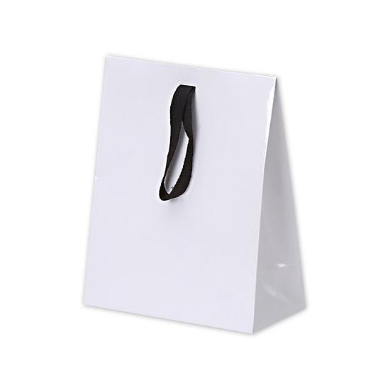 White Gloss Laminated Gift Paper Bags, Euros, 8 X 4 X 10", Retail Bags
