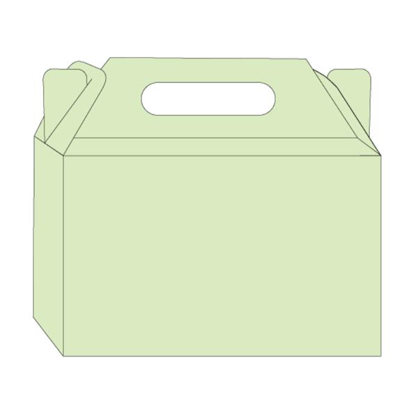 Custom Printed T-lock Carrier Box, Product Packaging