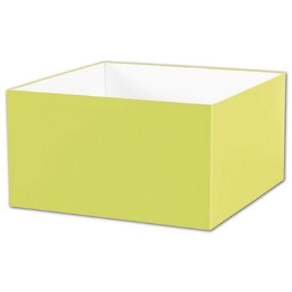 Deluxe Gift Box Bases, Pistachio, Extra Large