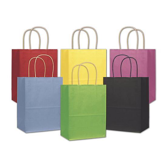 Colored Shopping Paper Bag With Handles, 8 1/4 X 4 3/4 X 10 1/2", Retail Bags