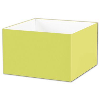 Deluxe Gift Box Bases, Pistachio, Large