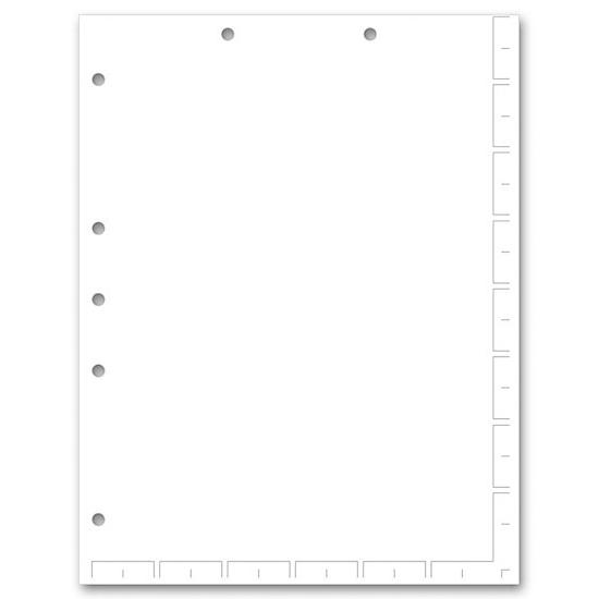 Chart File Divider Sheets, Unruled