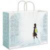 Chic Paper Bags With Handle, Medium