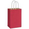 Crimson Radiant Shopping Paper Bag With Handle, 5 1/4 X 3 1/2 X 8 1/4", Retail Bags