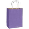 Electric Violet Radiant Shopping Paper Bag, 8 1/4 X 4 3/4 X 10 1/2", Retail Bags