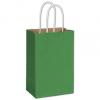 Radiant Shoppers Bag, Green, 5 1/4 X 3 1/2 X 8 1/4"