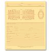 Dental Exam Record, Numbered Teeth System C, Folder Style Md90c