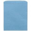 Paper Merchandise Bags, Sky Blue, Medium