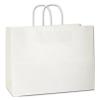 White Kraft Paper Shopping Bag With Handles, 16 X 6 X 12 1/2, Large Retail Bags