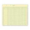 Columnar Work Sheets - 12 Pads Per Pack, 17" X 14", 50 Sheets Per Pad, Manual Accounting