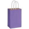 Violet Shopping Paper Bag With Handles, 5 1/4 X 3 1/2 X 8 1/4", Retail Bags
