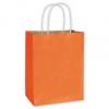 Radiant Shoppers Bag, Pumpkin, 8 1/4 X 4 3/4 X 10 1/2"