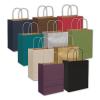 Colored Kraft Shopping Paper Bag, 8 1/4 X 4 3/4 X 10 1/2", Retail Bags