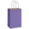 Radiant Shoppers Bag, Violet, 5 1/4 X 3 1/2 X 8 1/4"
