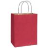 Crimson Radiant Paper Shopping Bag, 8 1/4 X 4 3/4 X 10 1/2", Retail Bags